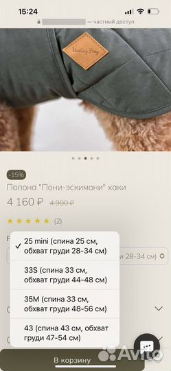 Hunting pony