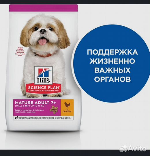 Корм для собак