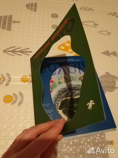 Болото Виталий Бианки, иллюстрации Васнецова