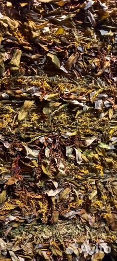 Пано из трав