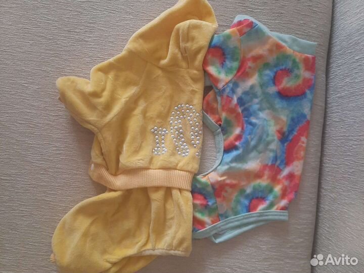 Одежда для собак