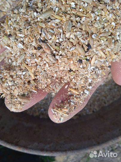 Зерно смесь