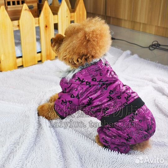 Комбинезоны для собак