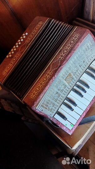 Аккордеон