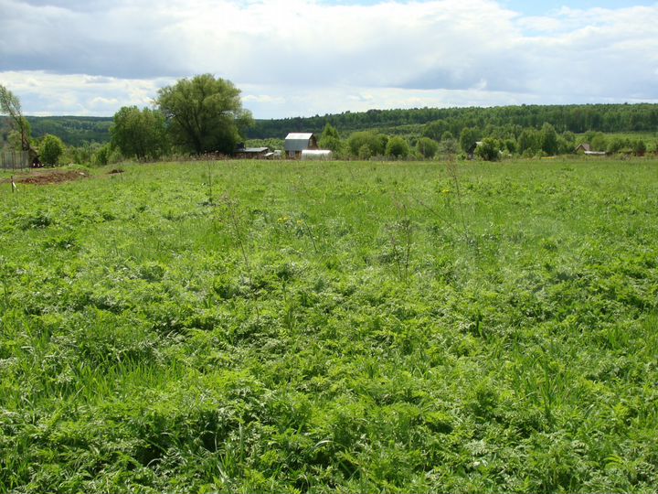 Участок 1,6 га (ИЖС)