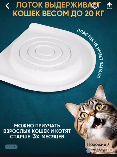 Все для кота
