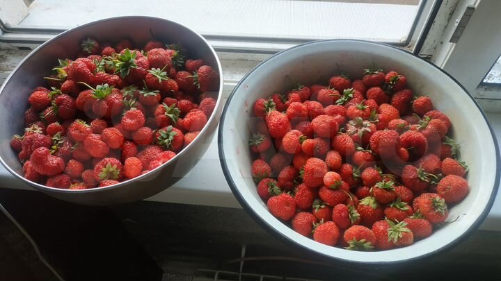 Дом 47,9 м² на участке 13 сот.