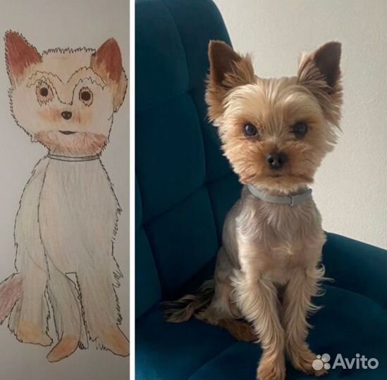 Рисую ваших питомцев