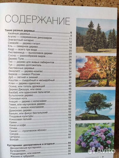 Большая книга. 