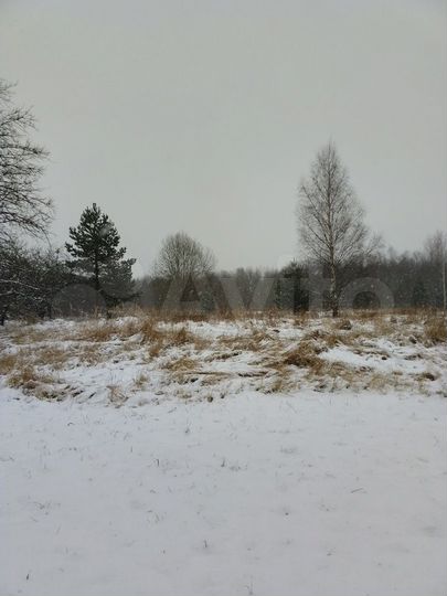 Участок 20 сот. (ИЖС)