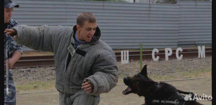 Кинолог