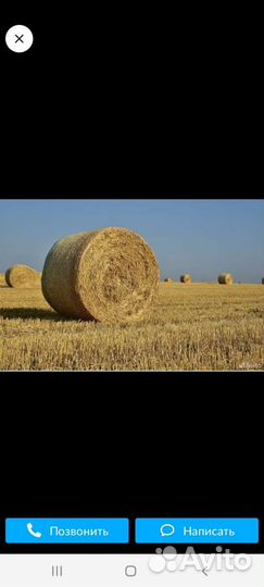 Солома в тюках