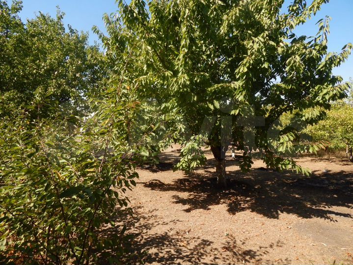 Участок 6 сот. (СНТ, ДНП)