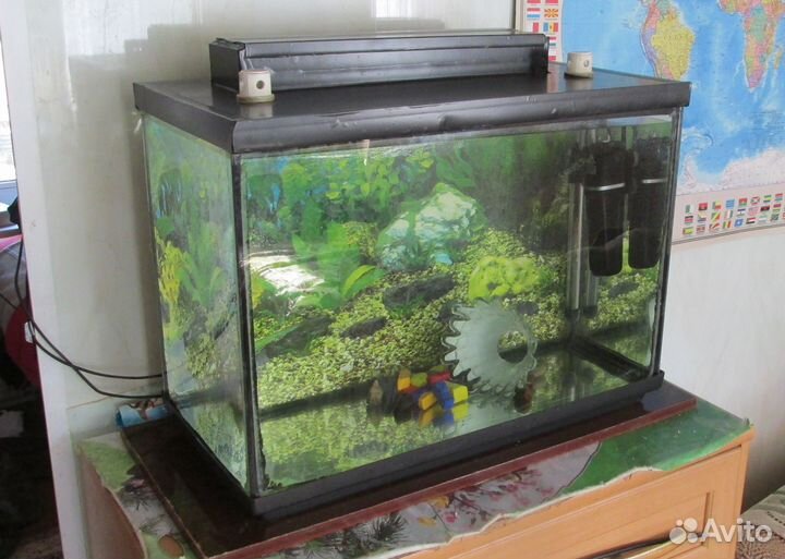 Аквариум