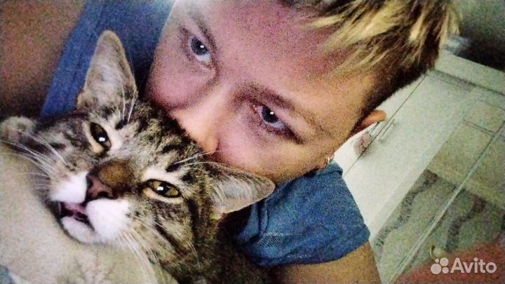 Курьер, доставка лекарств