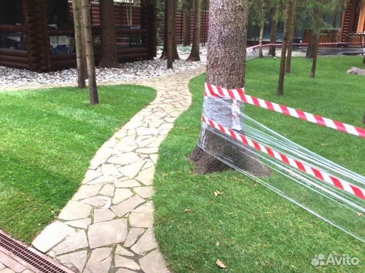 Рулонный газон