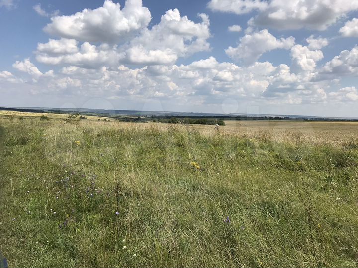 Участок 7 га (СНТ, ДНП)