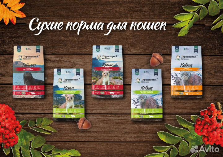 Корм супер премиум класса для кошек Территория