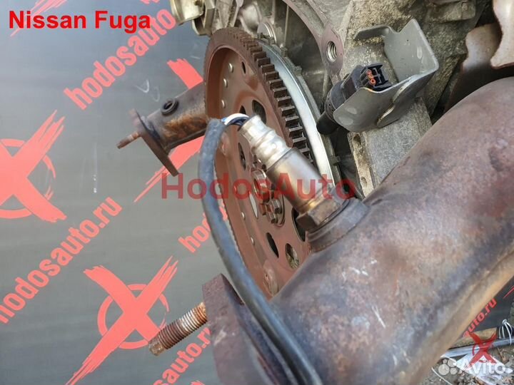Двигатель VQ35HR Nissan Fuga