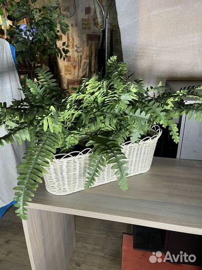 Папоротник искусственный