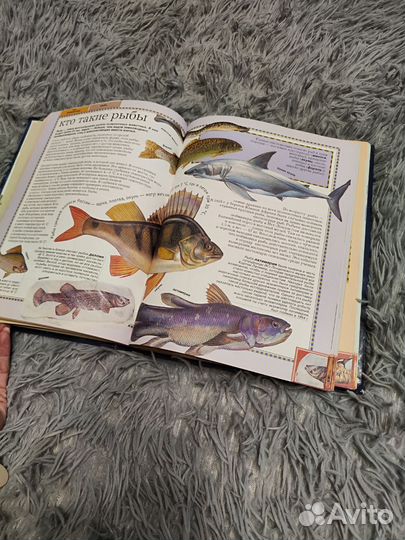 Большая энциклопедия животных