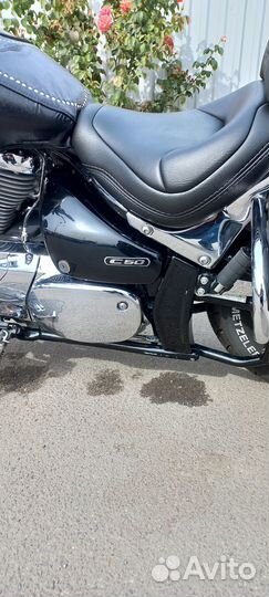 Suzuki Boulevard C50
