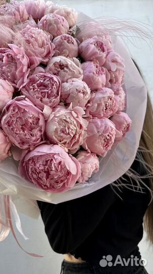 Букет пионов. Доставка в аквабоксе