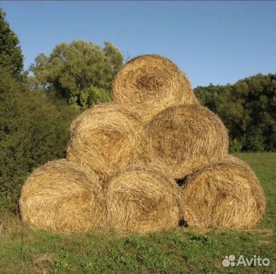 Солома в тюках