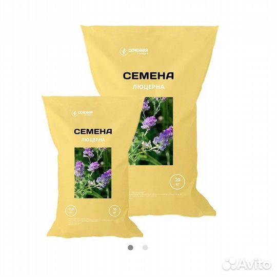 Семена люцерны