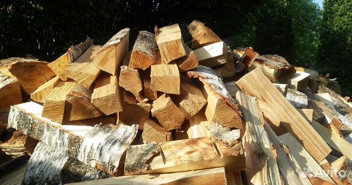 Дрова береза