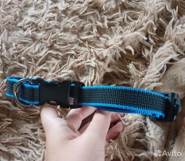 Ошейник на заказ