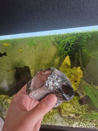 Декорации в аквариум