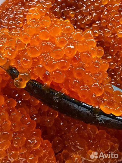 Красная икра опт