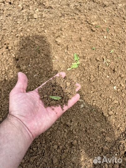 Вспашка земли японским минитрактором