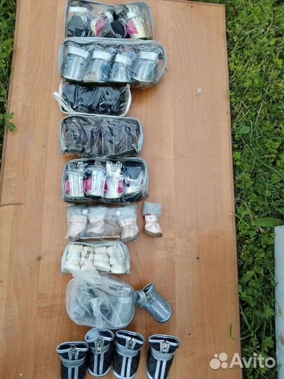 Ботинки для маленьких собак