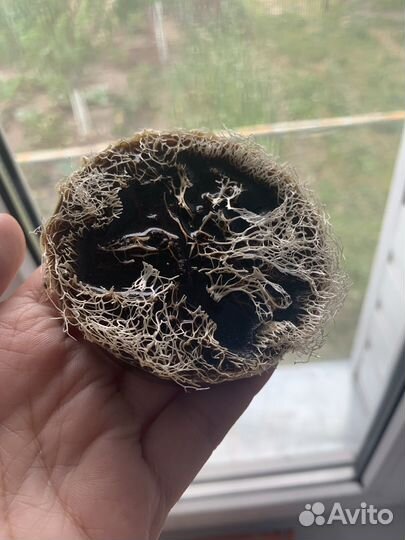 Мыло с люфой аромат кофе