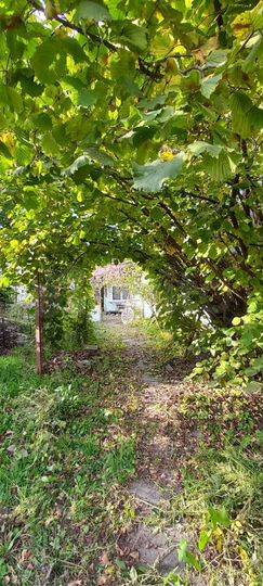 Участок 18 сот. (ИЖС)