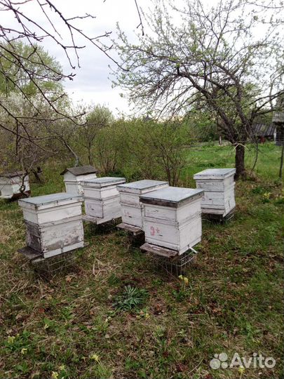 Ульи для пчел бу