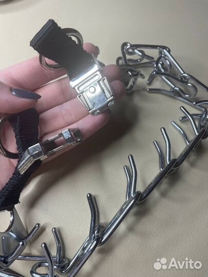 Строгий ошейник для собак