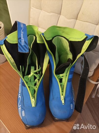 Лыжные ботинки spine