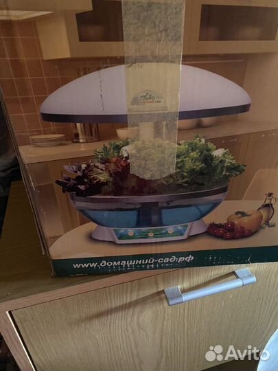 Домашний сад/устройство гидропоники