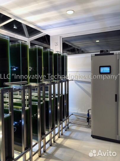 Хлорелла для очистки водоемов и прудов