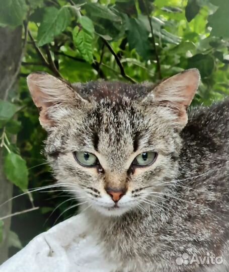 Малышка в беде