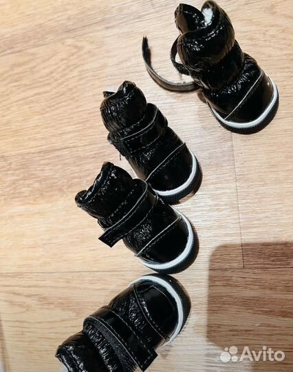 Обувь для собак