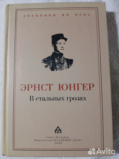 В стальных грозах