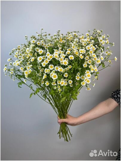 Букеты из ромашек