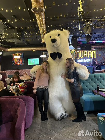 Поздравление белый медведь.Медведь/Ушастик