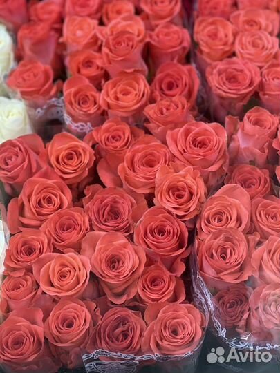 Букеты из 101 розы, 51 розы, 25 роз с доставкой