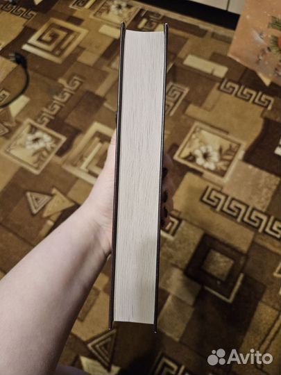 Собор парижской богоматери Виктор Гюго