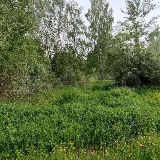 Участок 10 сот. (ИЖС)